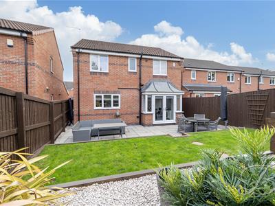 Picture 42